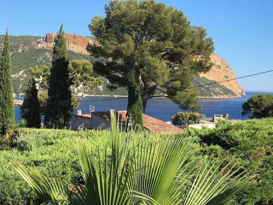 Cassis Calanques, 2 Pieces Grande Terrasse Vue Mer المظهر الخارجي الصورة
